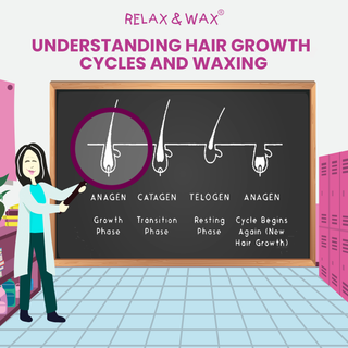 Understanding Hair Growth Cycles & Waxing